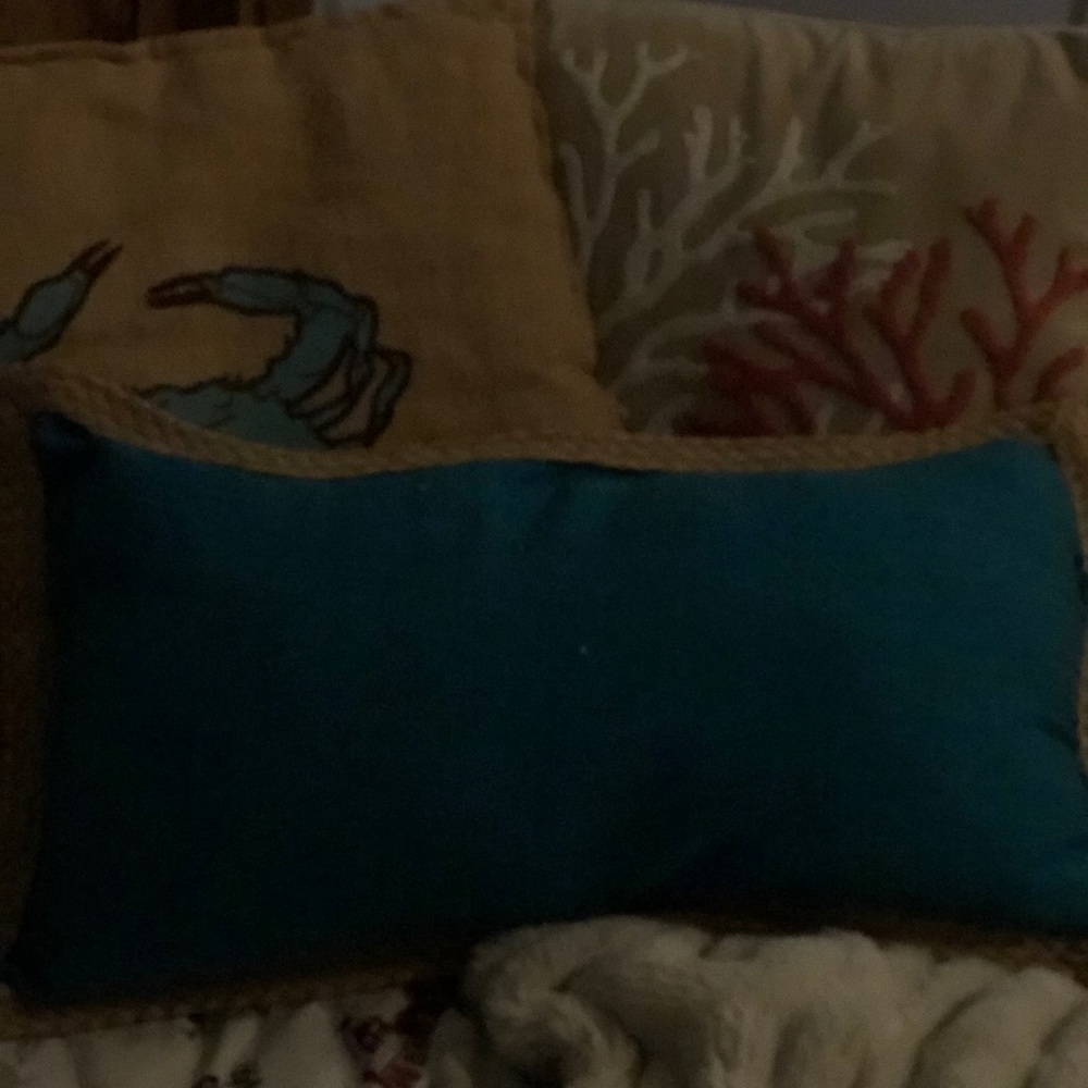 Pillows - Picture 3 of 3